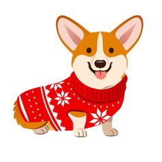 a corgi wearing a red sweater with white snowflakes on it's chest