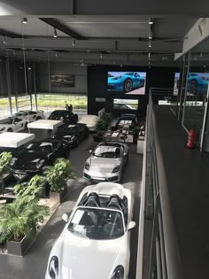 there are many cars parked in the showroom