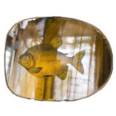 a fish is reflected in the mirror of a car's side view mirror,