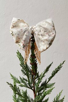 a close up of a pine tree with two bows on it