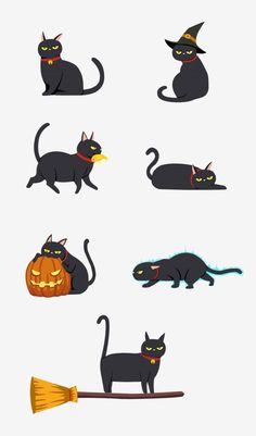 black cats with halloween hats and pumpkins on their heads, sitting in different positions