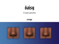 three different types of nose with the word'daisy'written in black on it