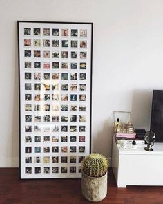 an instagram photo is displayed on the wall next to a potted cactus