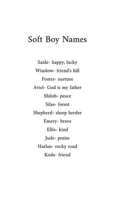 an image of a poem with the words soft boy names