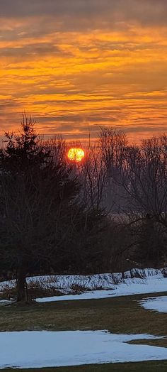 the sun is setting behind some trees and snow