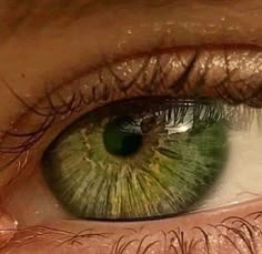 Lily Evans, Wallpaper Pastel, Green Aesthetic, An Eye, Aesthetic Photo