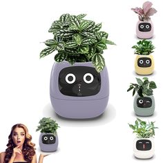 PRICES MAY VARY. 【Innovative Smart Pet Planter】The plantagotchi planter combines the functionality of a flower pot with the intelligence of a robot, creating a truly unique and interactive gardening experience. with its smart features, this planter takes care of your plants while keeping you entertained. 【Autonomous Plant Care】This advanced flower pot robot is equipped with intelligent sensors that monitor the moisture level, temperature, and sunlight exposure of your plants. it automatically wa Small Flower Pots, Living Room Plants, Plastic Flower Pots, Unique Planter, Indoor Gardens, Indoor Decoration, Plastic Flowers, Plant Collection, Plant Needs