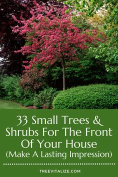 trees and shrubs with text that reads 3 small trees & shrubs for the front of your house