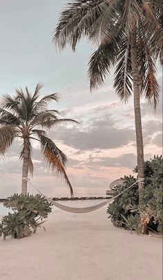 a hammock between two palm trees on the beach