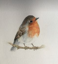 a watercolor painting of a bird sitting on a branch