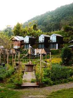 an outdoor garden with lots of trees and plants on the side of a hill in front of some buildings