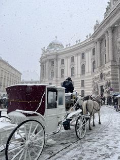 a horse drawn carriage in front of a large building with snow falling on the ground