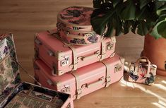 a stack of pink suitcases sitting next to a potted plant