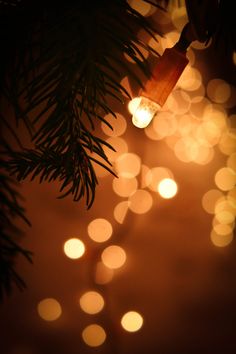 a christmas tree with lights in the background