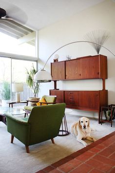 a dog sitting in the middle of a living room