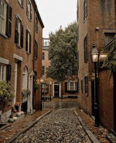 an alley way with brick buildings and cobblestone pavement in the center, surrounded by autumn foliage