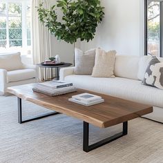 a living room filled with furniture and a large potted plant on top of a coffee table