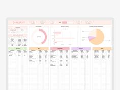 a spreadsheet showing the financial and business data for each individual person in their household