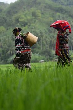 two women walking in the grass with an umbrella over their heads and one holding a basket