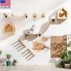 two cats sitting on top of wooden shelves in front of a wall with cat houses