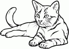 a black and white drawing of a cat laying on the ground with its paw up