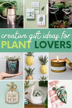 the top 25 gift ideas for plant lovers