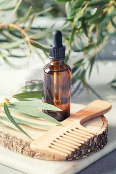 ZAHA BEAUTY BRAND 🧴🧼✨🥥🌱📲 Hair Product Photography Ideas, Winter Skin Care Tips, Wooden Hair Brush, Creative Photography Projects, Transparent Bottle, Fragrance Photography, Product Photoshoot