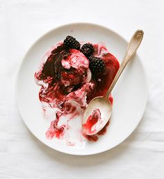 a white plate topped with ice cream covered in raspberry sauce and blackberries