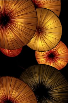 four orange umbrellas are hanging upside down on a black background with reflection in the water