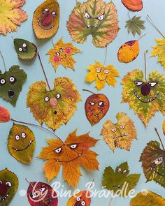 many leaves with faces drawn on them