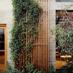 an outdoor living area with wooden slats and plants growing on the side of it