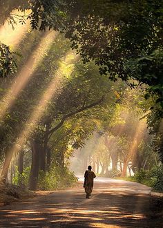 a person walking down a dirt road with trees on both sides and sunbeams in the background