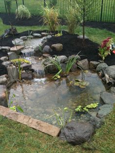 a small pond in the middle of a yard