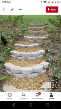 a cat is walking down some steps in the grass