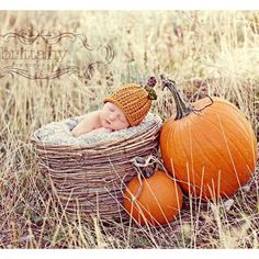 a baby is laying in a basket with two pumpkins on the ground next to it