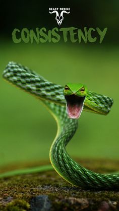 a green snake with its mouth open and tongue out