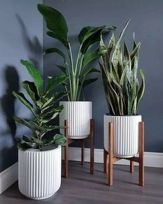 three white planters sitting next to each other on top of a hard wood floor