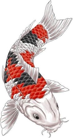 a drawing of a koi fish with red, black and white stripes