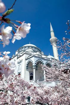 a large white building surrounded by lots of pink flowers on the trees in front of it