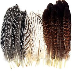 four feathers are lined up together on a white background, one is brown and the other is black