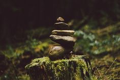 a pile of rocks sitting on top of a tree stump