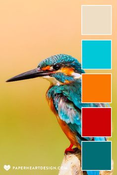 a colorful bird sitting on top of a tree branch with color swatches in the background