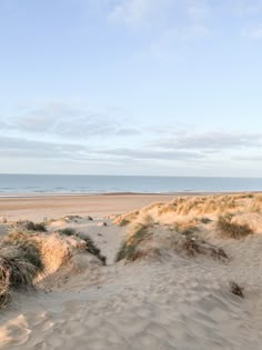 an empty beach with sand dunes and grass in the foreground, on a sunny day