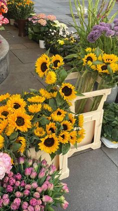 sunflowers and other flowers on display at a flower shop