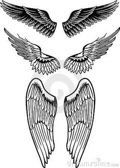 three wings with different shapes and sizes