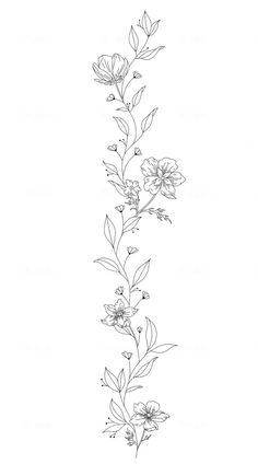 a line drawing of flowers on a white background