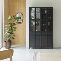 a living room with a plant in the corner and a large mirror on the wall