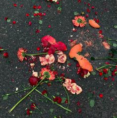 flowers and petals are scattered on the ground