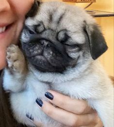 a woman holding a small pug dog in her arms and smiling at the camera