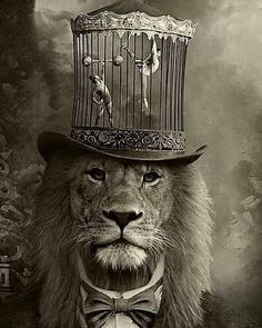 a lion wearing a top hat with birds in it's cage on its head